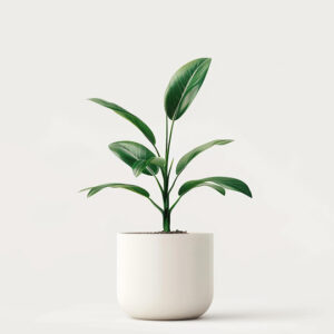 Home product 04